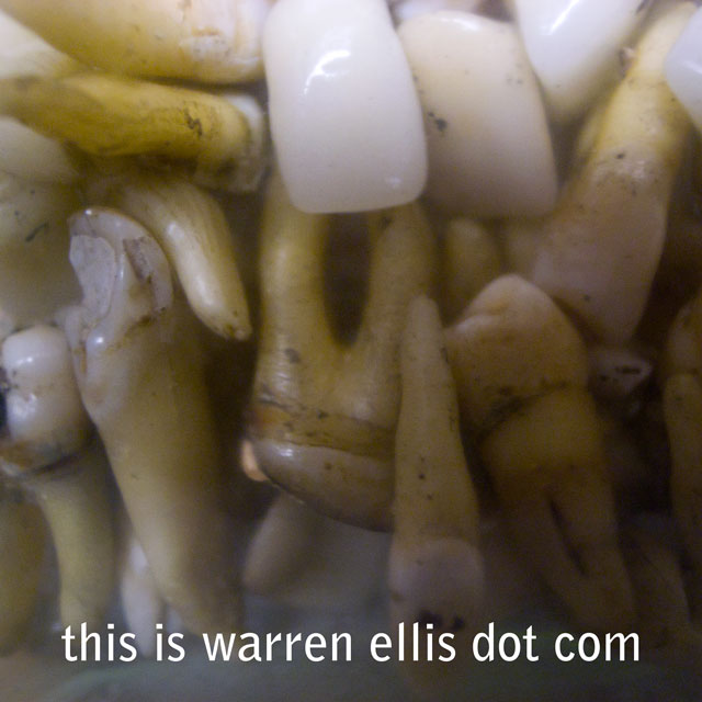 teeth