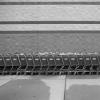 shopping carts