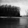 frozen lake of dead trees