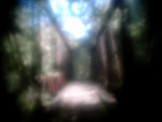 bridge