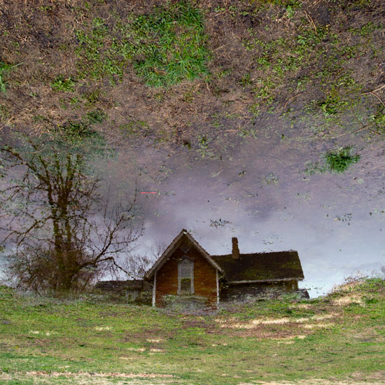 reflection