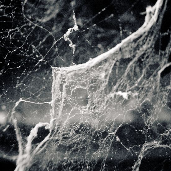 web